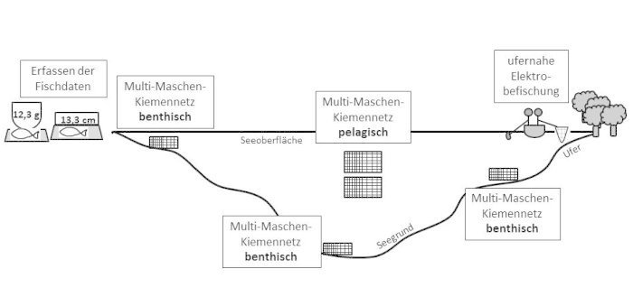 Illustration einer Seenbefischung