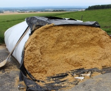 Silagebereitung, Weitere Silagen