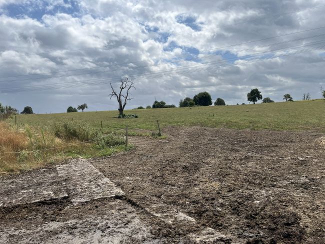 Übergang Stall - Weide