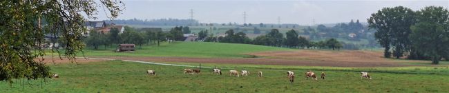 Weide Bauernhof Traber