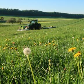 Über dieses Bild erreichen Sie die Themen zur Grünlandwirtschaft und zum Futterbau 