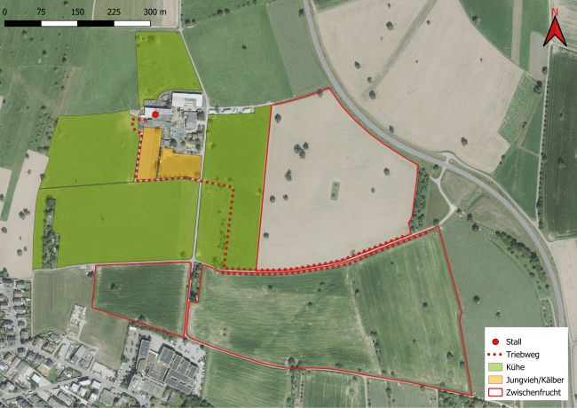 Übersichtskarte Milchhof Knodel