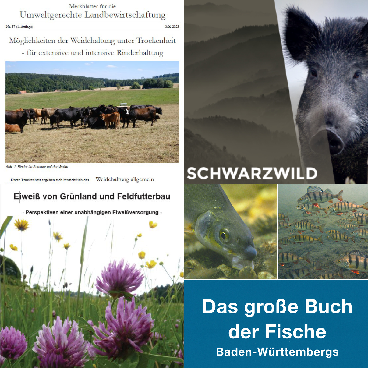 Über dieses Bild erreichen Sie den Schriftenshop LAZBW