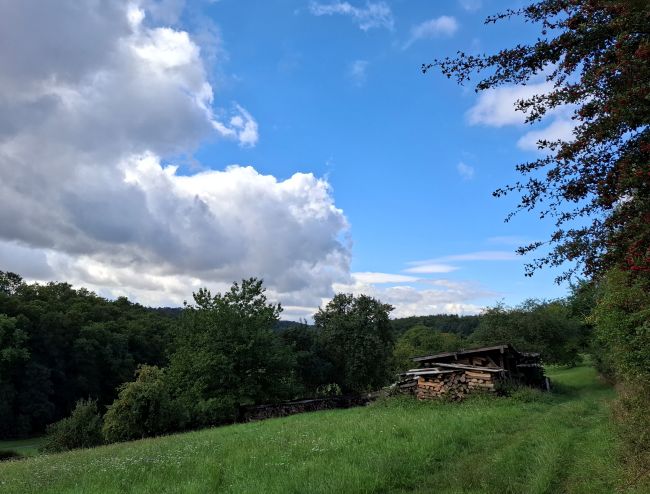 Zukünftiger Platz für Jungviehstall