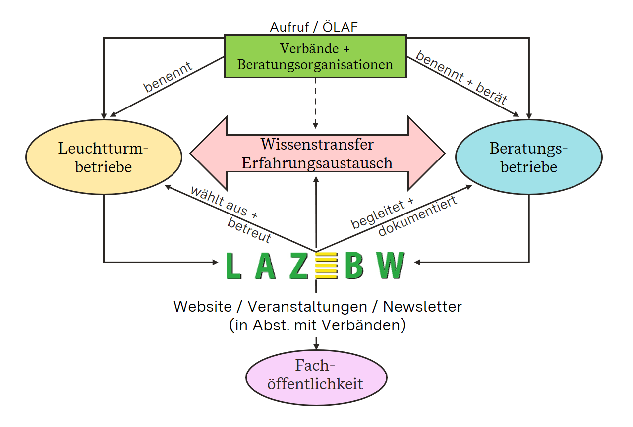 Projekt BWeidung Netzwerkgrafik