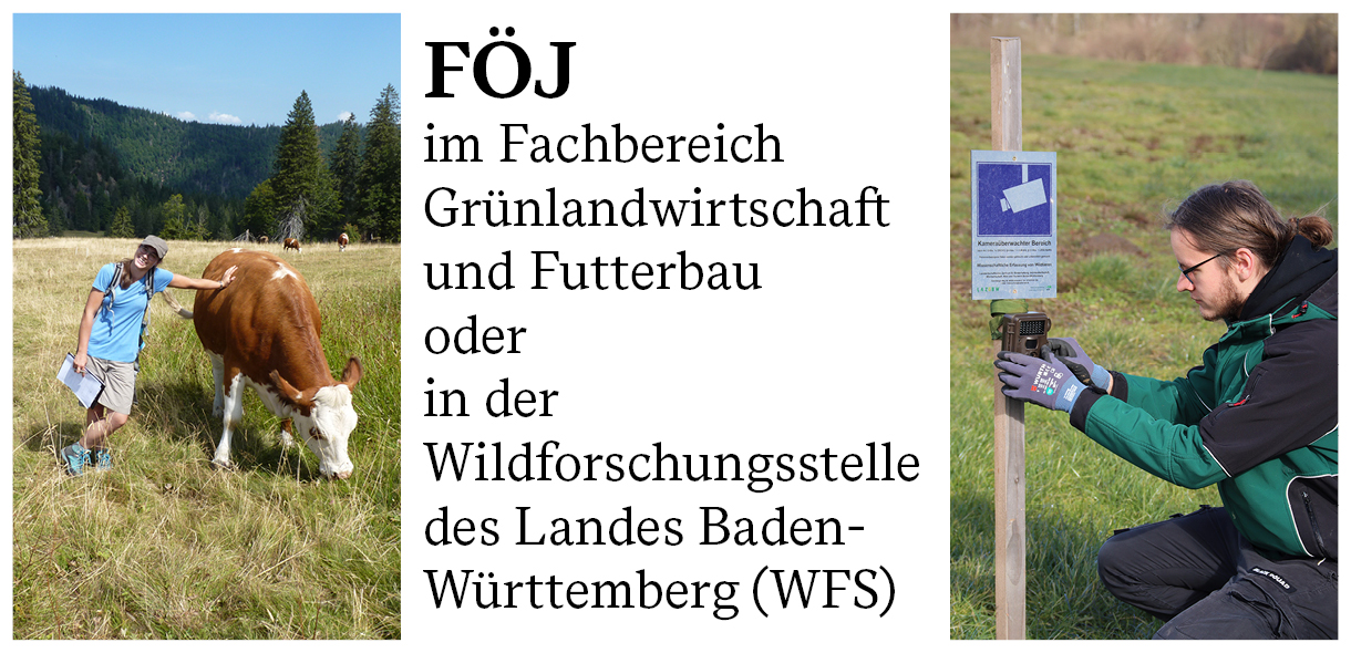 FÖJ-Stellenausschreibung