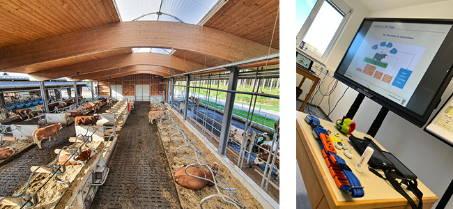 Digitalisierung am LAZBW