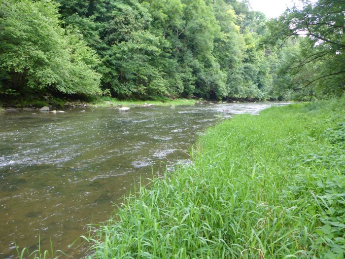 Jagst bei Bölgental Jagst bei Bölgental