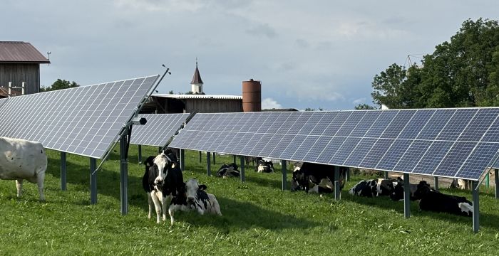 Photovoltaikanlage auf Kuhwiese