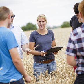 Mitarbeiterinnen und Mitarbeiter bei der Teambesprechung