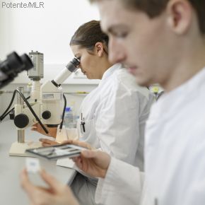 Über dieses Bild erreichen Sie die Themen zur Analytik