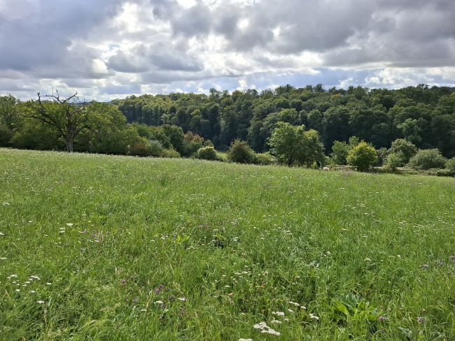 späte Schnittzeitpunkte und geringe Düngergaben