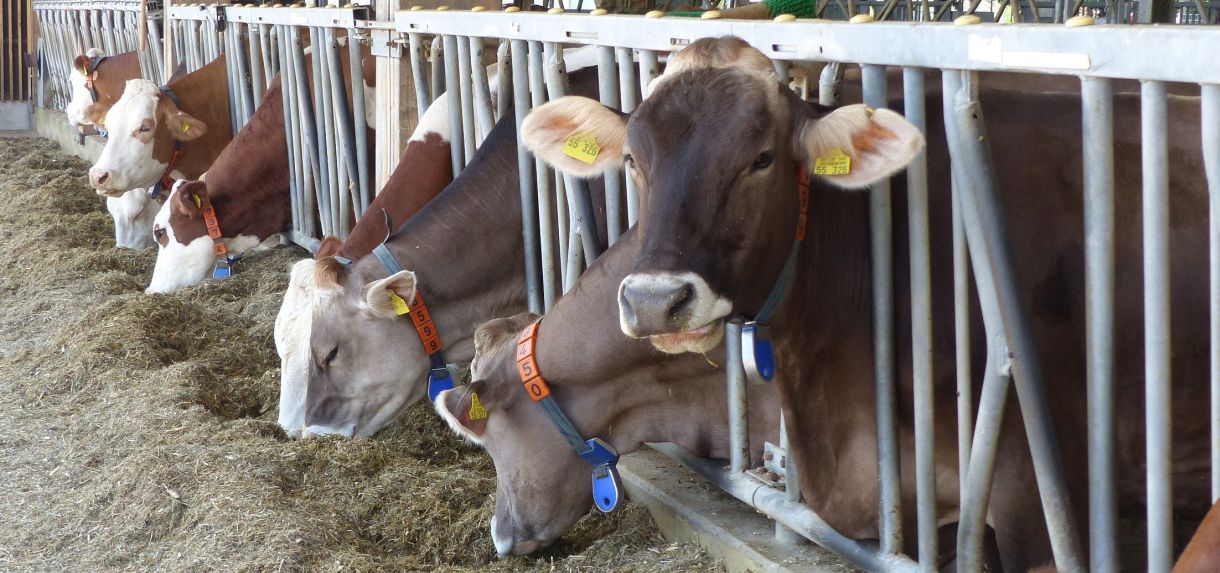 63. Aulendorfer Wintertagung