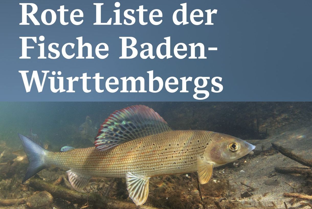 Broschüre Rote Liste der Fische Baden-Württembergs