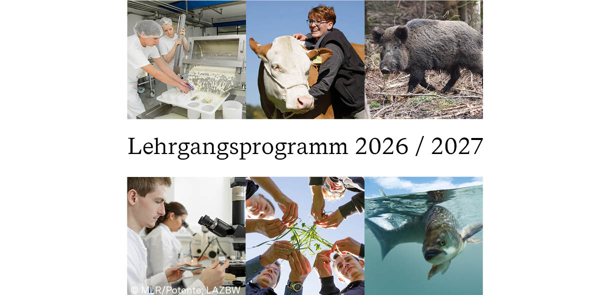 Lehrgangsprogramm 2026/2027