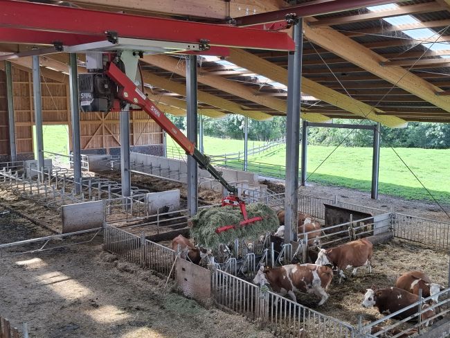 Einblick in den Stall