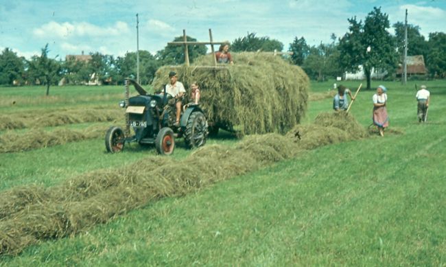 Heuernte im Jahr 1958