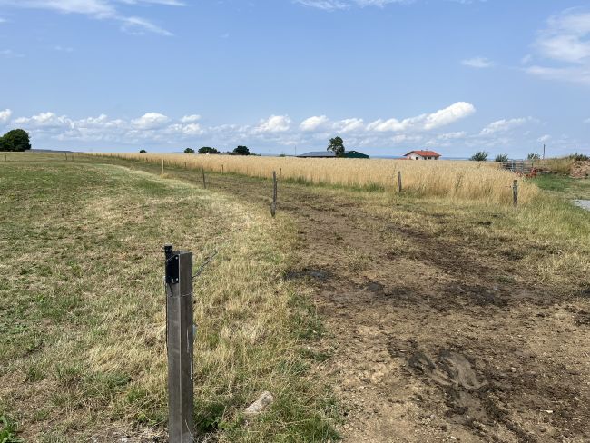 Triebweg