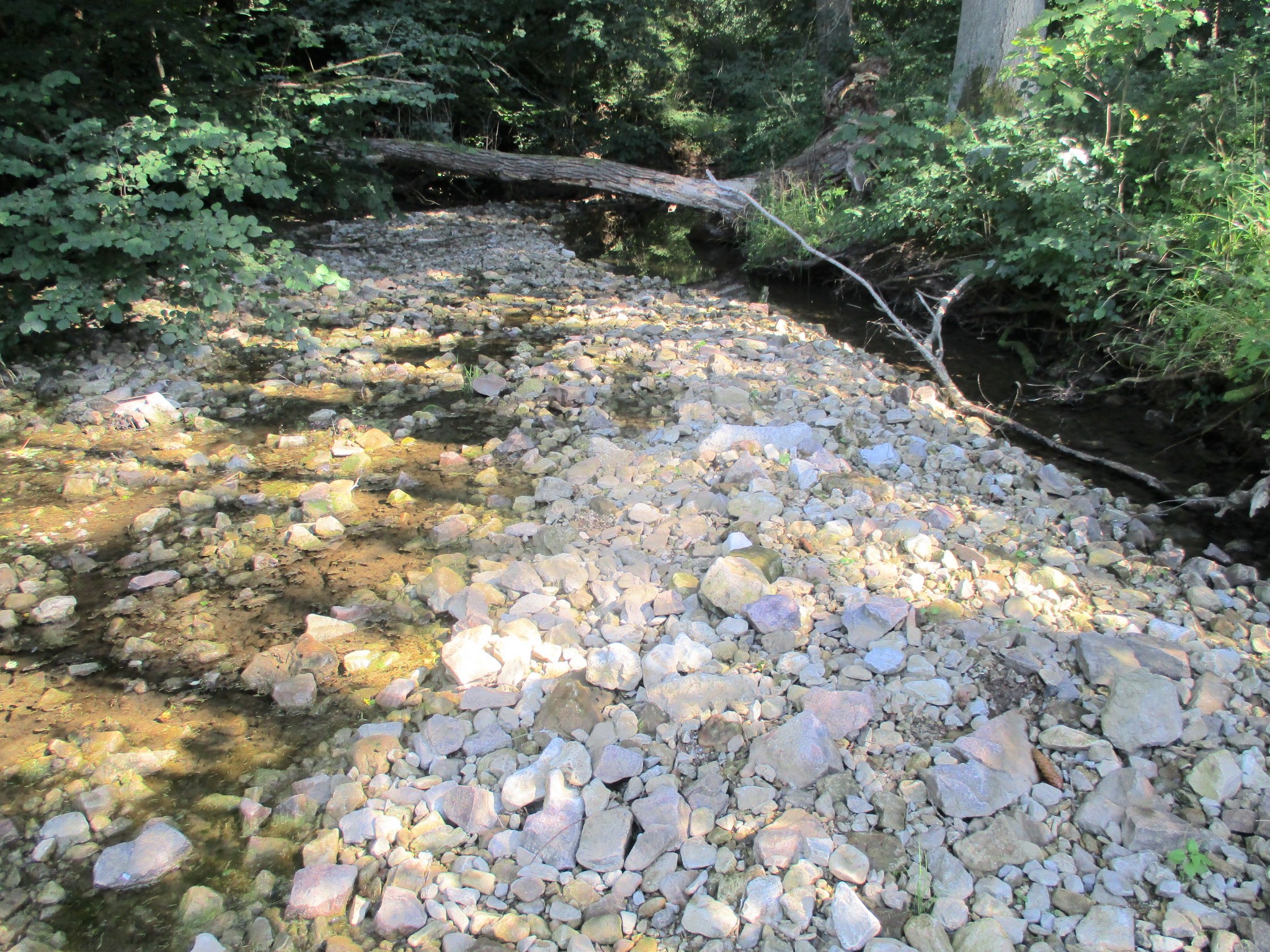 Gauchach im Sommer 2019