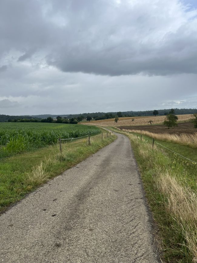 Ackerrandstreifen als Triebwege