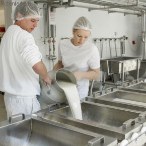 Über dieses Bild erreichen Sie die Themen zur Milchwirtschaft