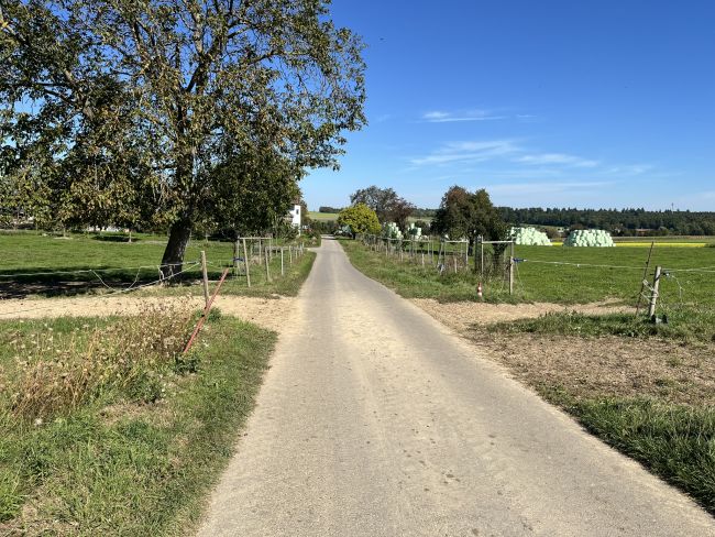 Den Triebweg kreuzende Straßen