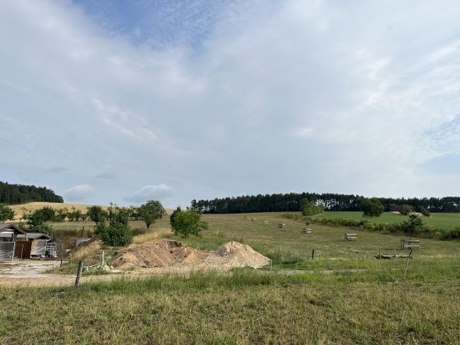 Verfügbarkeit arrondierter Flächen