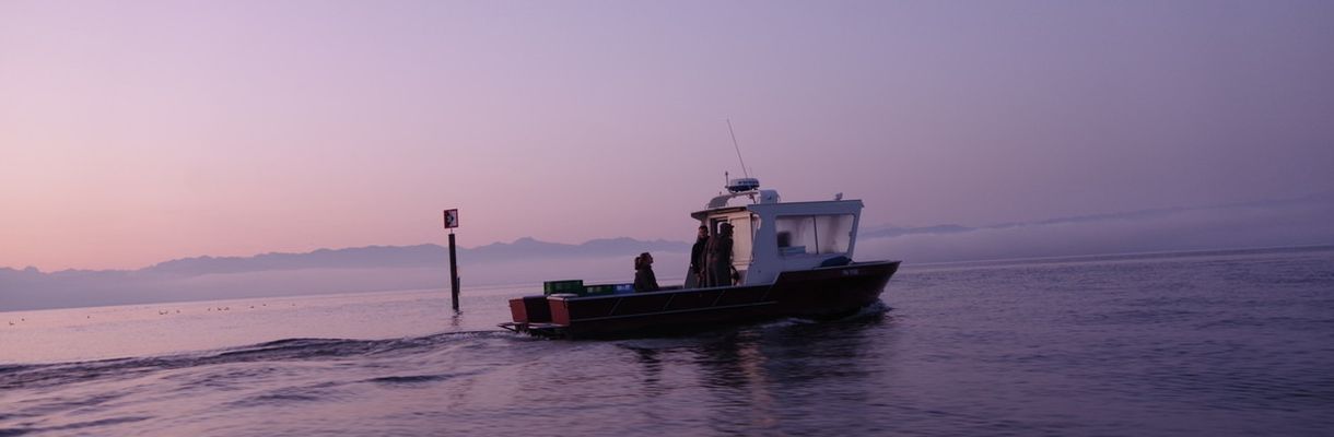 Seenmonitoring auf dem Bodensee