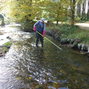 Über dieses Bild erreichen Sie die Themen der Fischereiforschungsstelle des Landes Baden-Württemberg