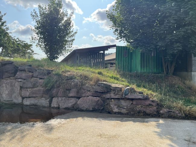 Weideaufgang für junge Kälber